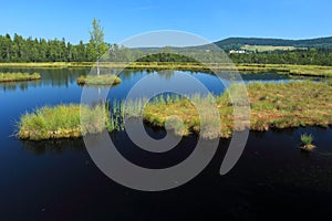 Chalupska bog in Sumava National Park