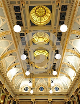Chamber ceiling and lighting