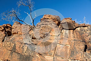 Chambers Gorge aboriginal engraving site. Flinders Ranges. South