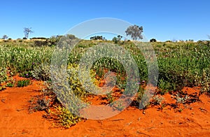 Chambers Pillar, Nothern Territory, Australia