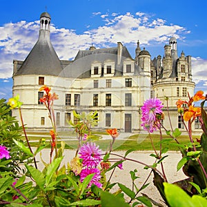 Chambord photo