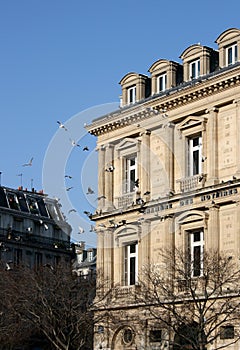 Chambre des Notaires, Paris photo