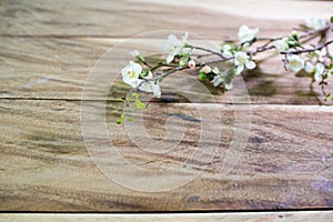 Chamelaucium flowers & x28;waxflower& x29; on wooden table