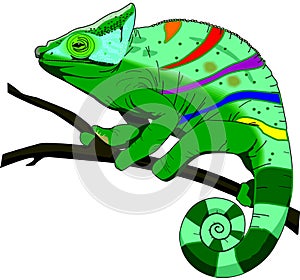 Chameleon