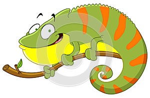 Chameleon