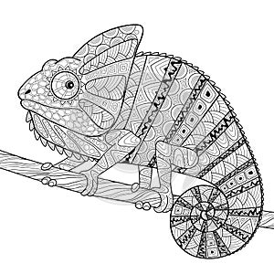 Chameleon. Adult antistress coloring page