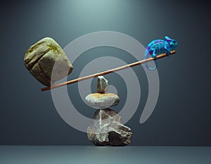 Chameleon in balance with a big stone