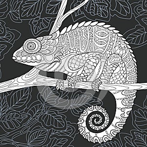 Chameleon in black and white style