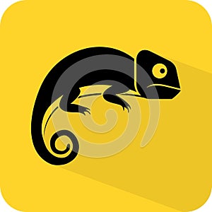 Chameleon. chamaeleon icon. Lizard pet. Reptile wildlife. Animal sign. Squamate creature. Arboreal fauna. Vector illustration.