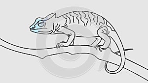 Chameleon crawling along a tree branch graphic animation. Alpha channel