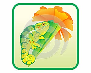 Chameleon flower logo