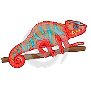 Chameleon Hand Drawn Vector Illustration