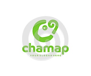 Chameleon lizard logo design. Chameleon map point vector design