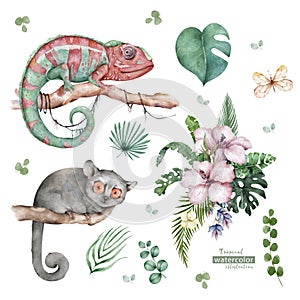 Chameleon Lizard and Mouse Lemur wildlife with tropical flowers Hand drawn watercolor isolated illustration on white
