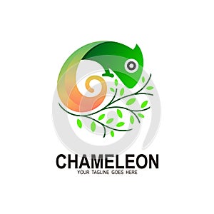 Chameleon logo and tree icon template