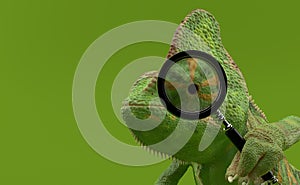 Chameleon is looking through a magnifying glass