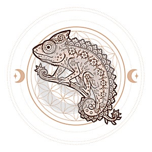 Chameleon mandala. Animal Vector illustration