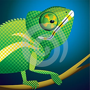 Chameleon portrait