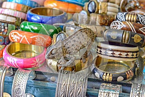 Chameleon sitting on jewelry on the streets of tuni