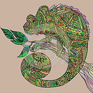 chameleon on a tree branch