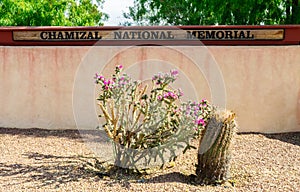 Chamizal National Memorial photo