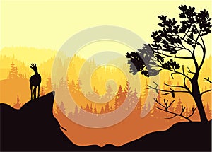 A chamois stands on top of a hill with mountains and forest in the background. Pine tree in foreground. Magic misty landscape.