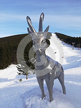 Chamois Statue In Serak, Jeseniky, The Czech Republic Mountains 02