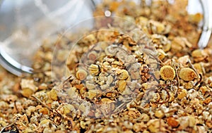 Chamomile