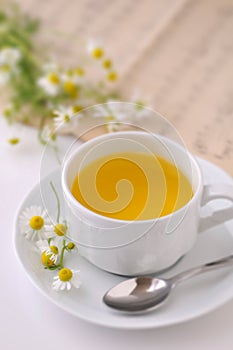 Chamomile 4