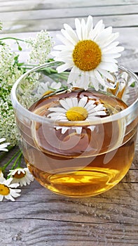 Chamomile aromatic tea in a glass cup on a wooden background. Summer still life with a bouquet of wildflowers and a medicinal