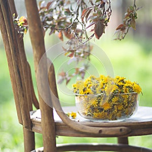 chamomile blossoms in a glass bowl. Chamomile tea, flowers of Matricaria chamomilla