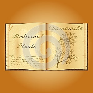 Chamomile. Botanical illustration. Medical plants. Book herbalist. Old open book