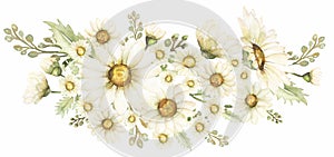 Chamomile Bouquet Clipart, Watercolor Vintage Daisy illustration, Rustic Meadow Floral Bouquets, Wildflowers print, Wedding
