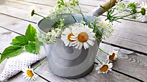 Chamomile. A bouquet of field daisies in a metal bucket. Bath ladle