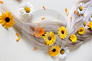 Chamomile and calendula flowers in blond hair.