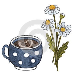 Chamomile and cup of cacao, coffee or tea in white background. Sketch watercolor art