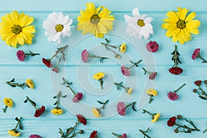 Chamomile and dahlila flowers scattered on blue wood.