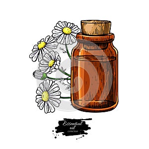 Chamomile essential oil bottle and bunch of flowers hand drawn v