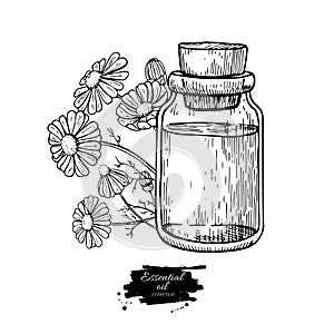 Chamomile essential oil bottle and bunch of flowers hand drawn vector illustration. Isolated drawing for Aromatherapy