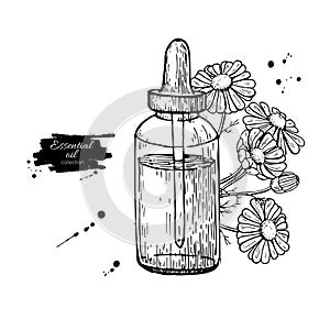 Chamomile essential oil bottle and bunch of flowers hand drawn vector illustration. Isolated drawing for Aromatherapy