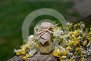 Chamomile essential oil and chamomile flowers