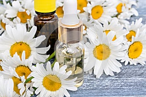 Chamomile essential oil in a glass bottle stands on blue boards near chamomile flowers