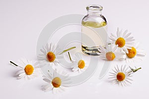 Chamomile essential oil on a white acrylic background