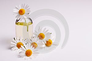 Chamomile essential oil on a white acrylic background