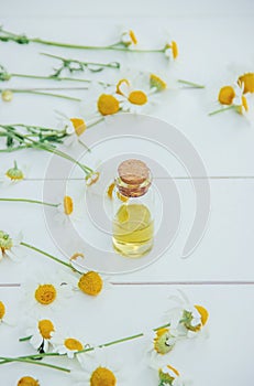 Chamomile extract in a small bottle.