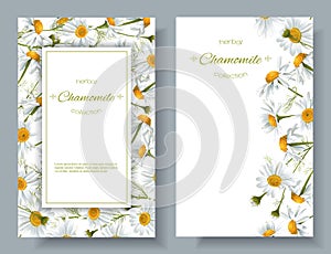 Chamomile flower banners photo