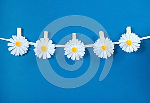 Chamomile flower clothespins decoration on blue background