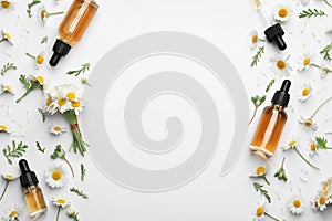 Chamomile flowers and cosmetic bottles of essential oil on white background, top view