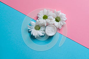 chamomile flowers in front of skin care cream on two colored background