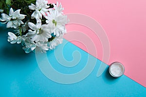 chamomile flowers in front of skin care cream on two colored background